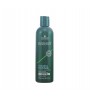 Schwarzkopf Essensity Color and Moisture Shampoo