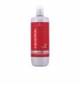 Igora Color and Care Developer 10 Vol.