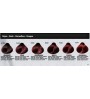 Tinte de color Bionet System Color