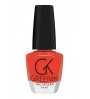 Esmalte de uñas NL