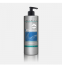 Champú Liso Intenso con Keratina Absolut - Egalle