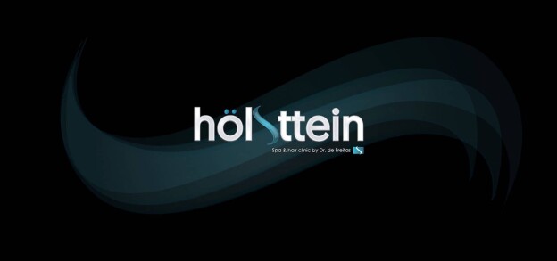 holsttein-banner
